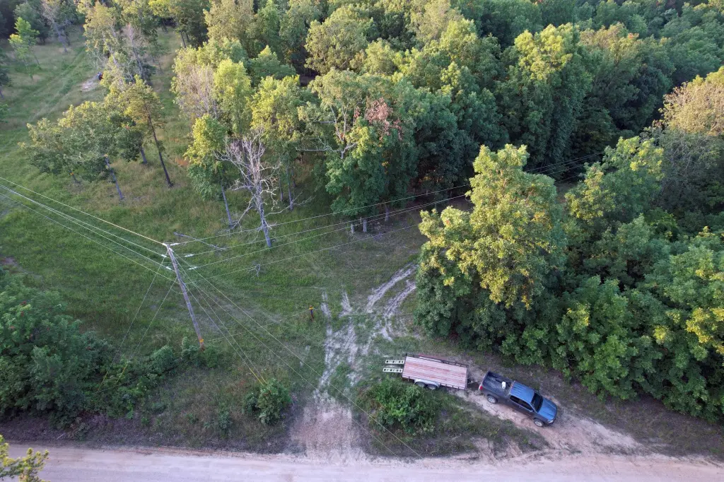 Picture 3