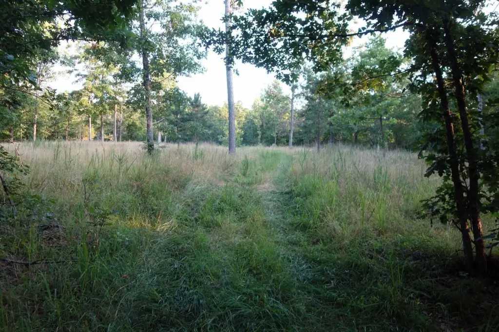Picture 25