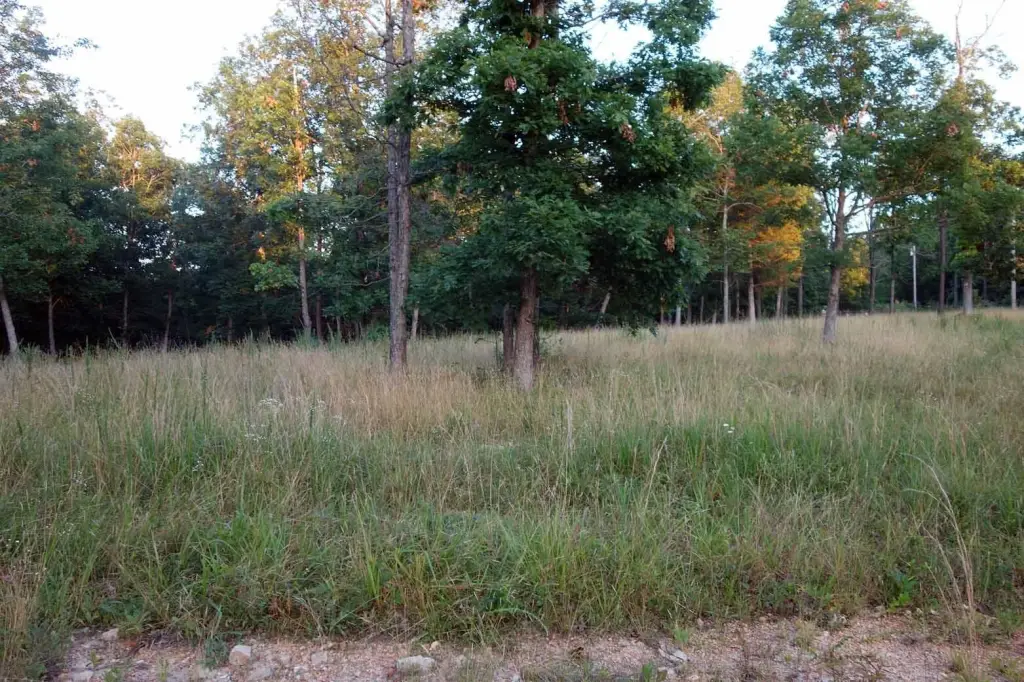 Picture 18