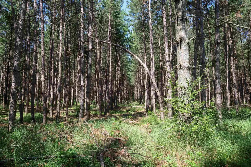 Picture 19