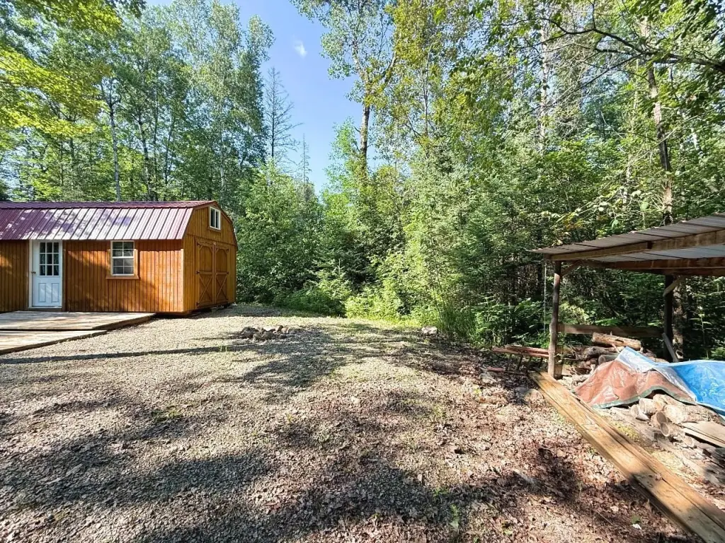 Picture 5