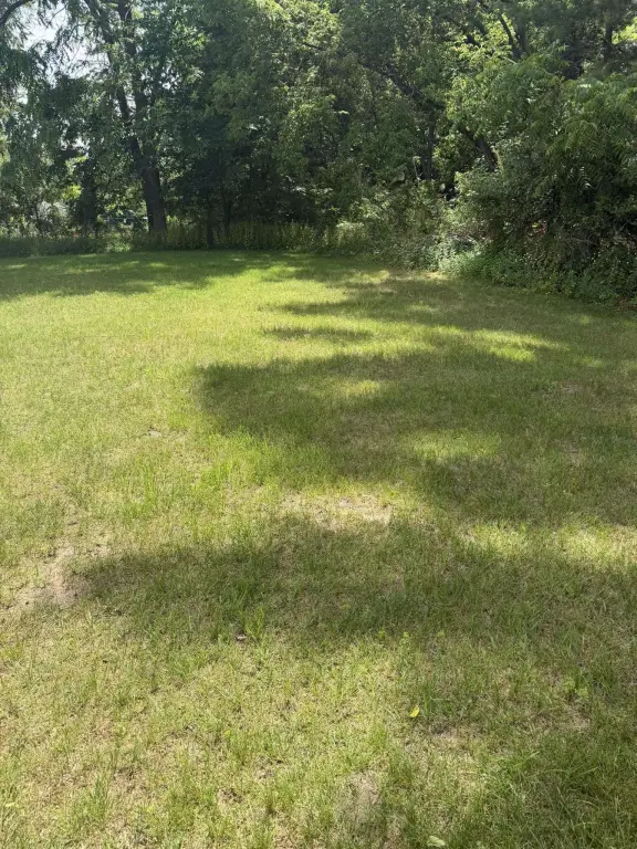 Picture 16