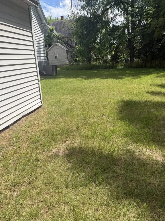 Picture 14