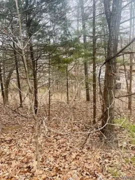 Wooded Lot Near Swimming Area