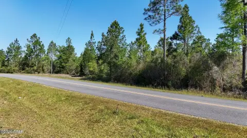 Uncleared Land Parcel