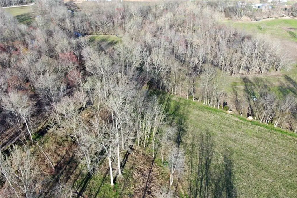 Picture 25