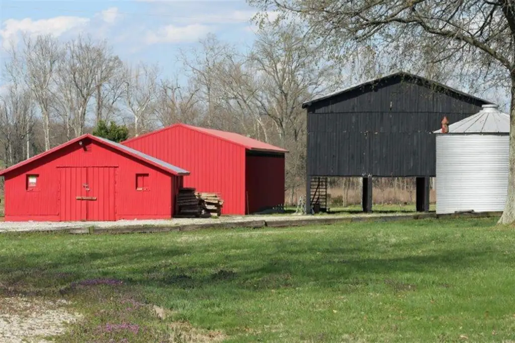 Picture 16