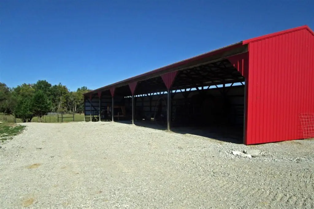 Picture 15