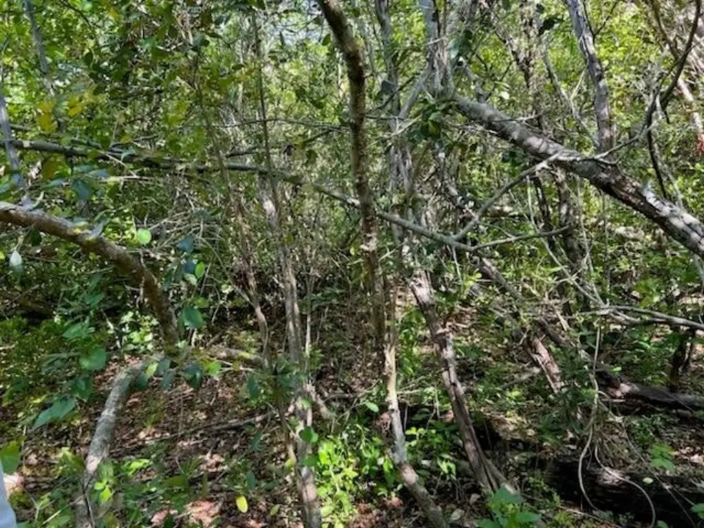 Picture 6