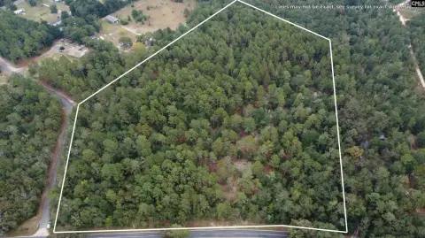 Wagener Acreage with Road Frontage