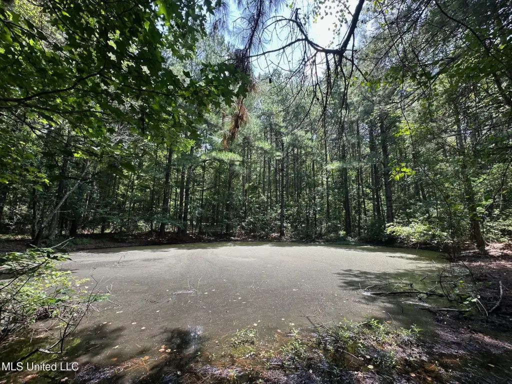 Picture 7
