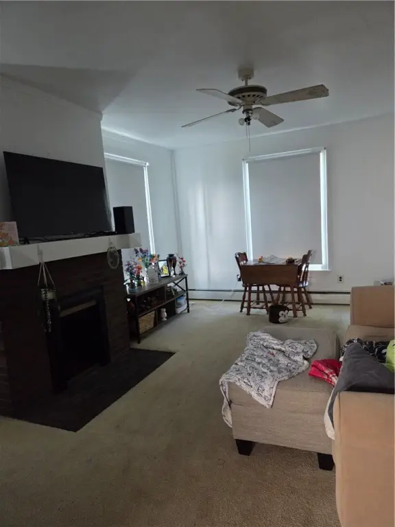 Picture 14