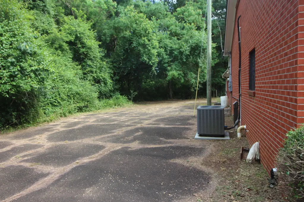 Picture 23