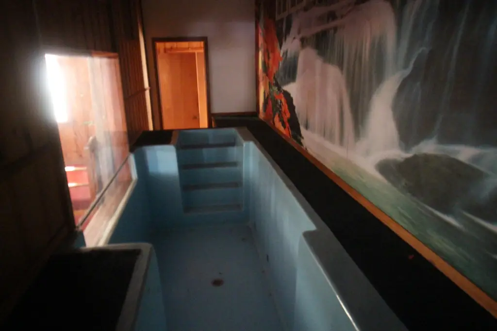 Picture 15