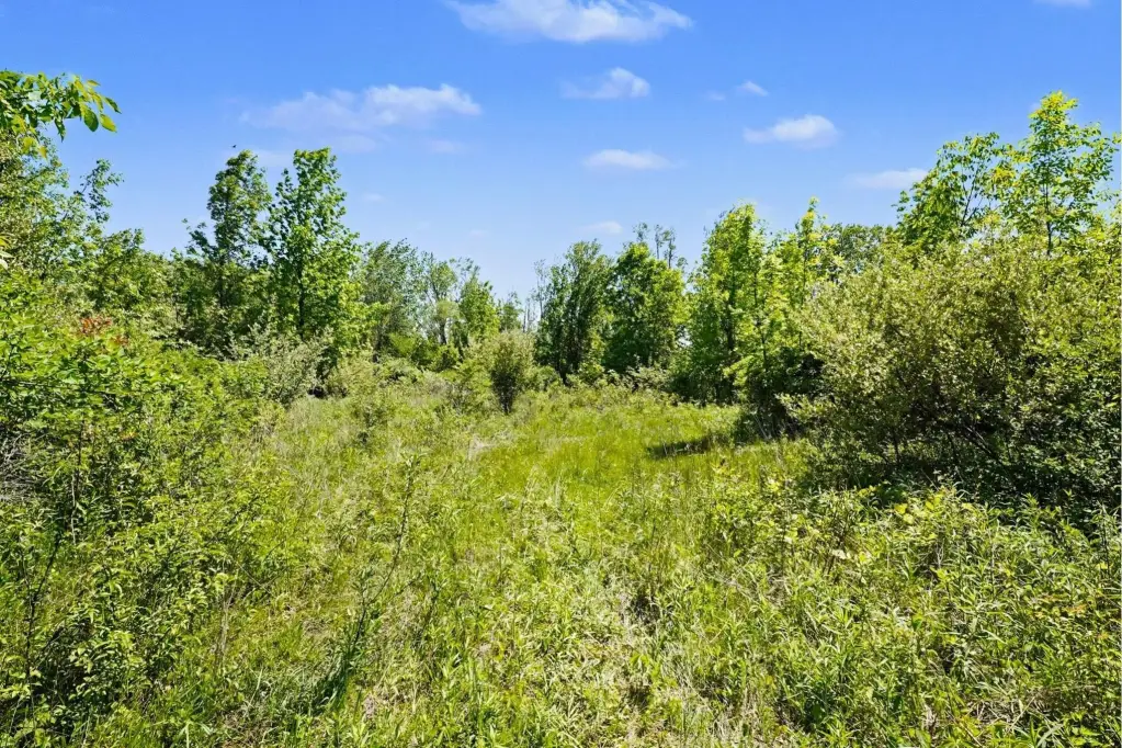 Picture 6