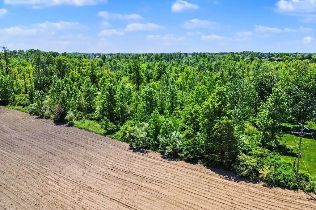 Picture 16