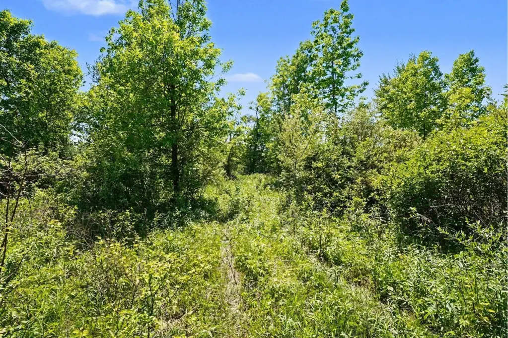 Picture 8