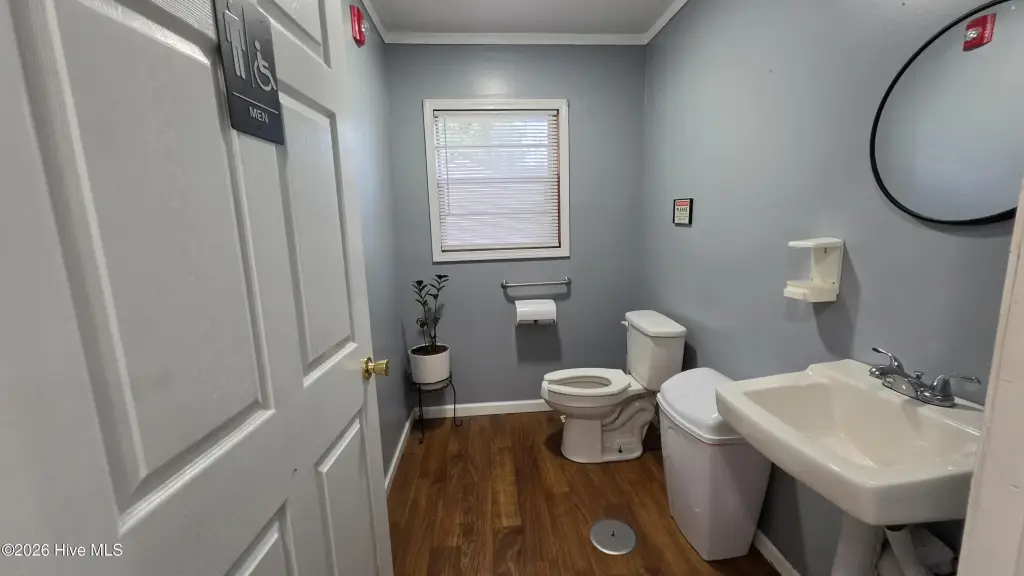 Picture 11