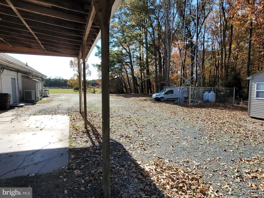 Picture 19