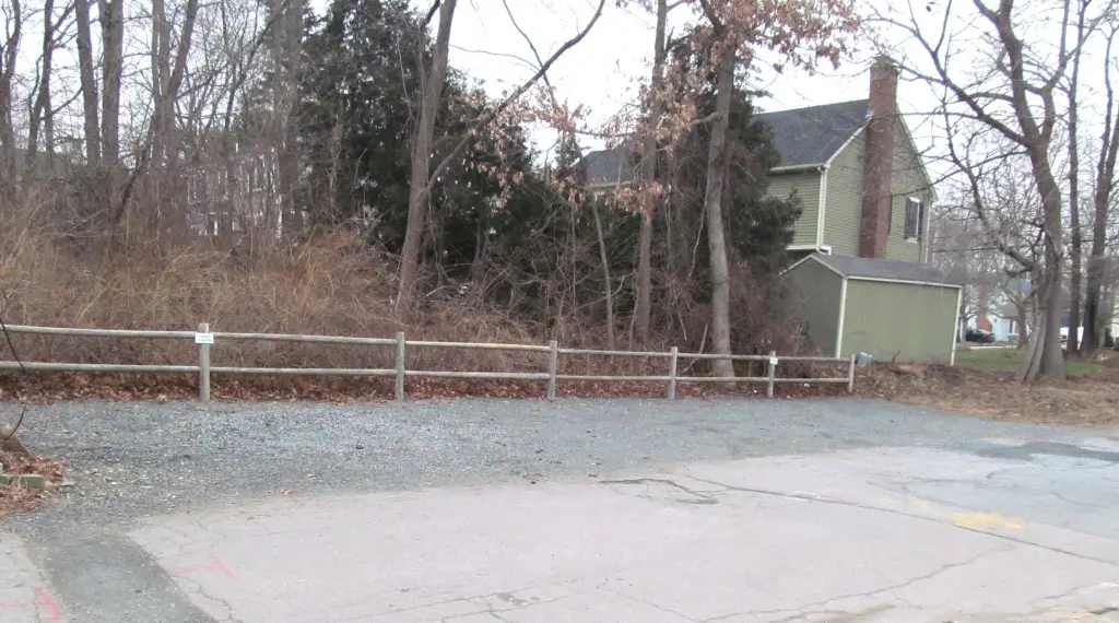 Picture 21