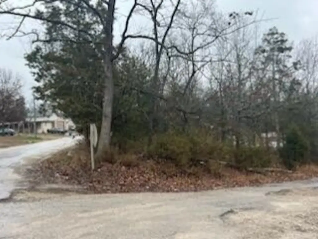 Picture 6
