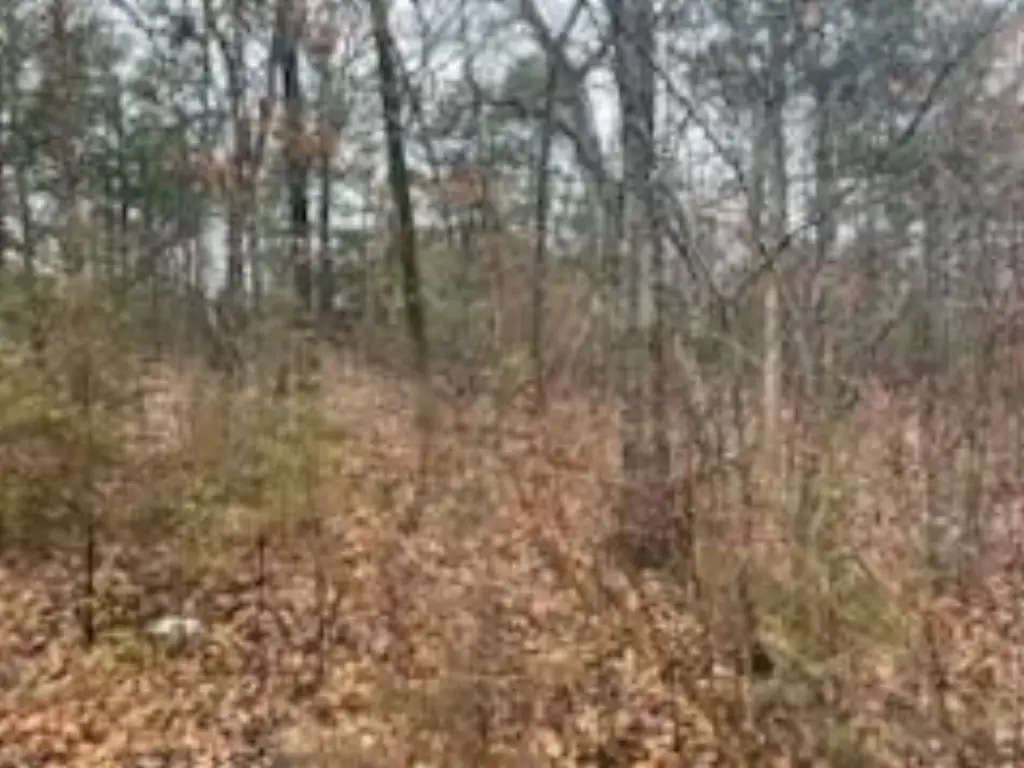 Picture 11