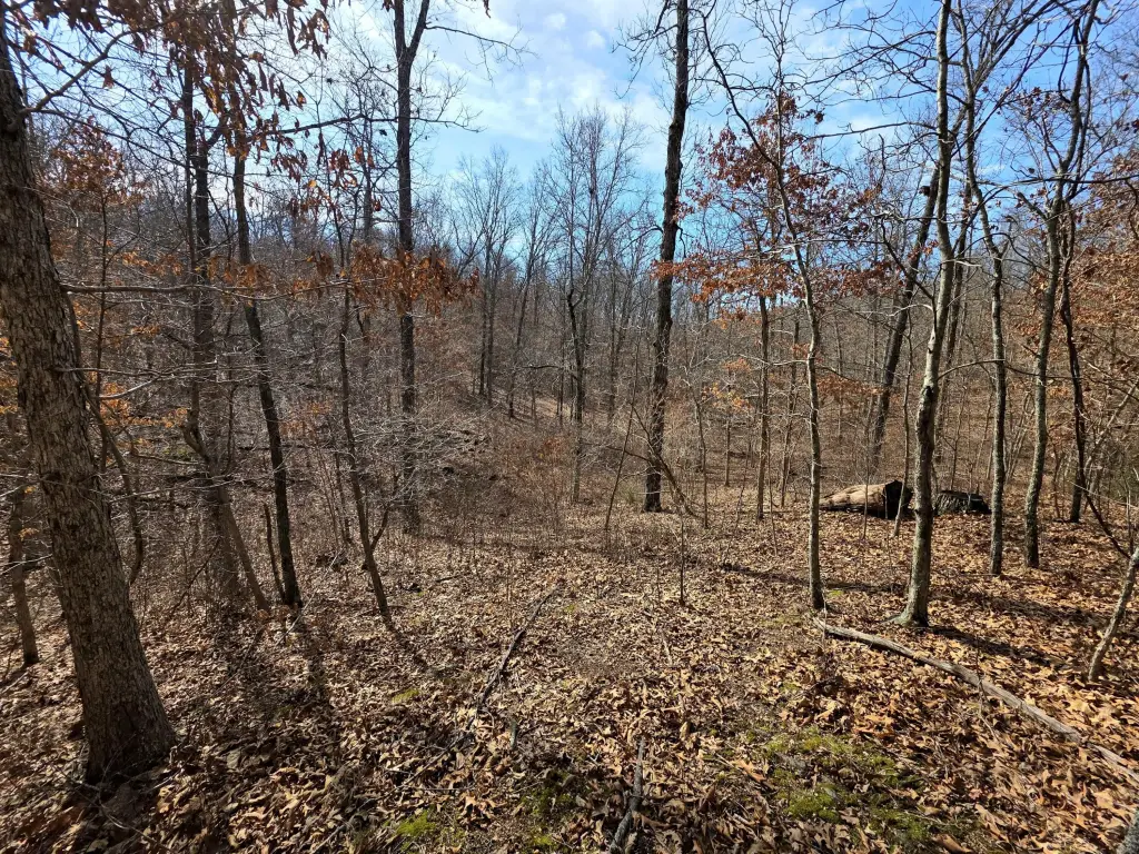 Picture 16