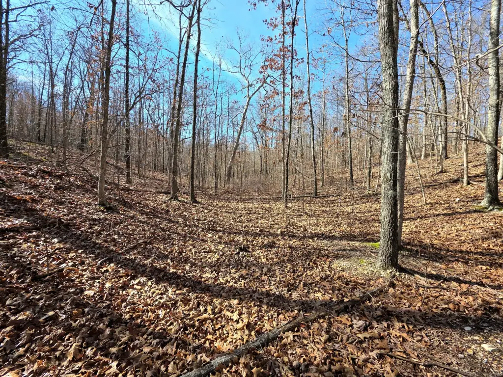 Picture 9