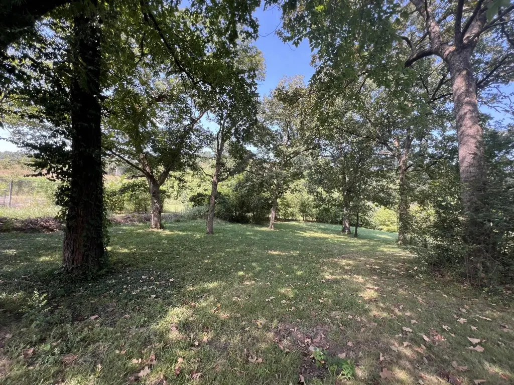 Picture 26