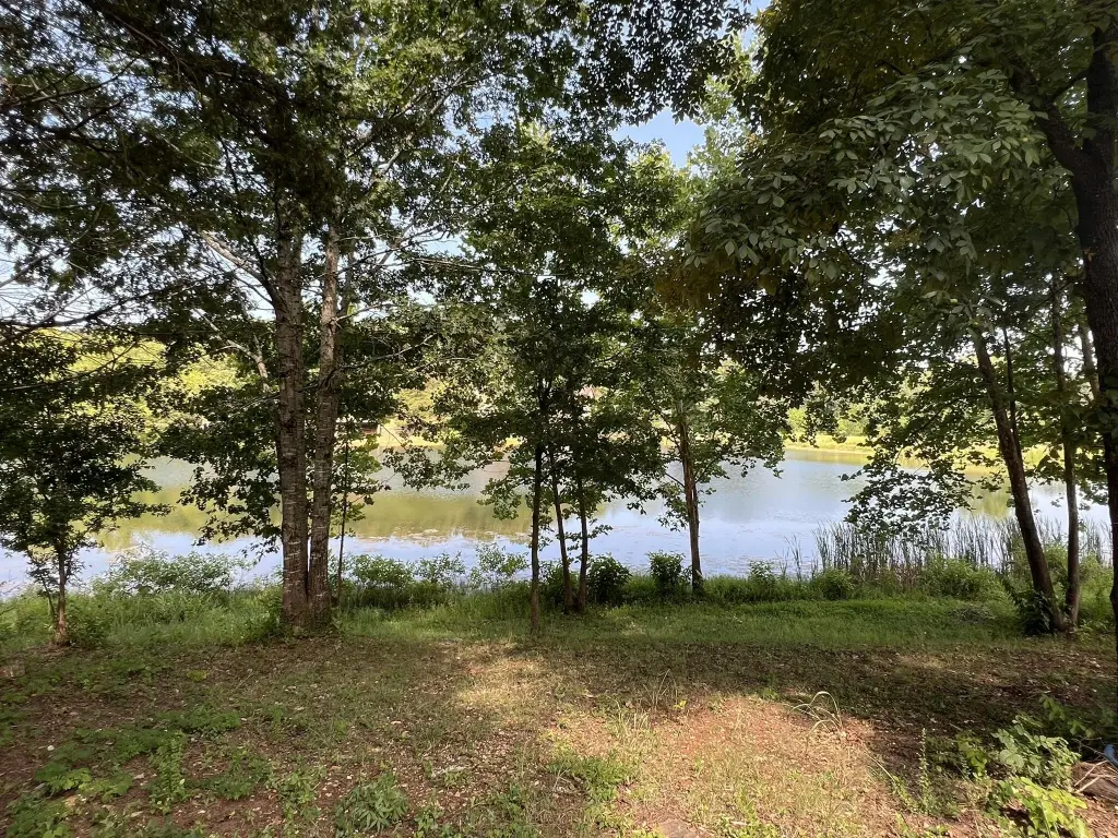 Picture 23