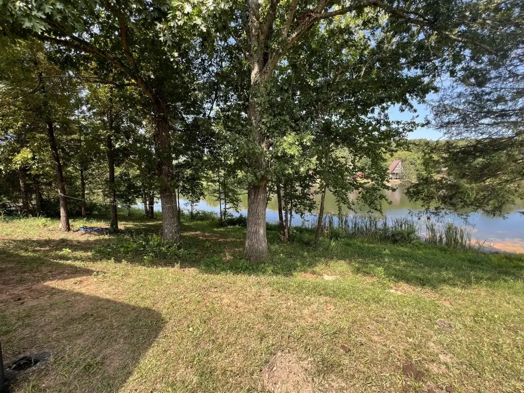 Picture 20