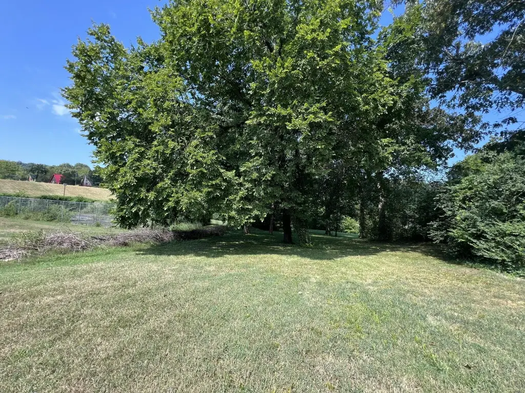 Picture 25