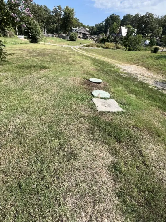 Picture 14