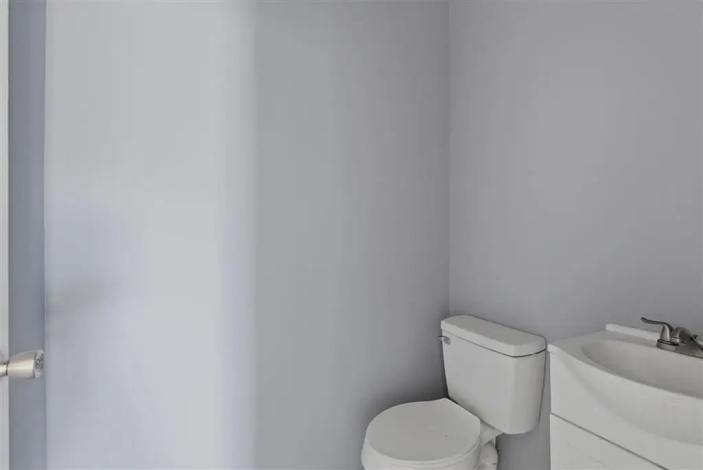 Picture 24