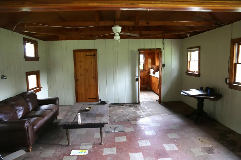 Picture 5