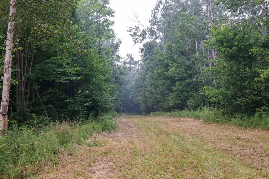 Picture 31