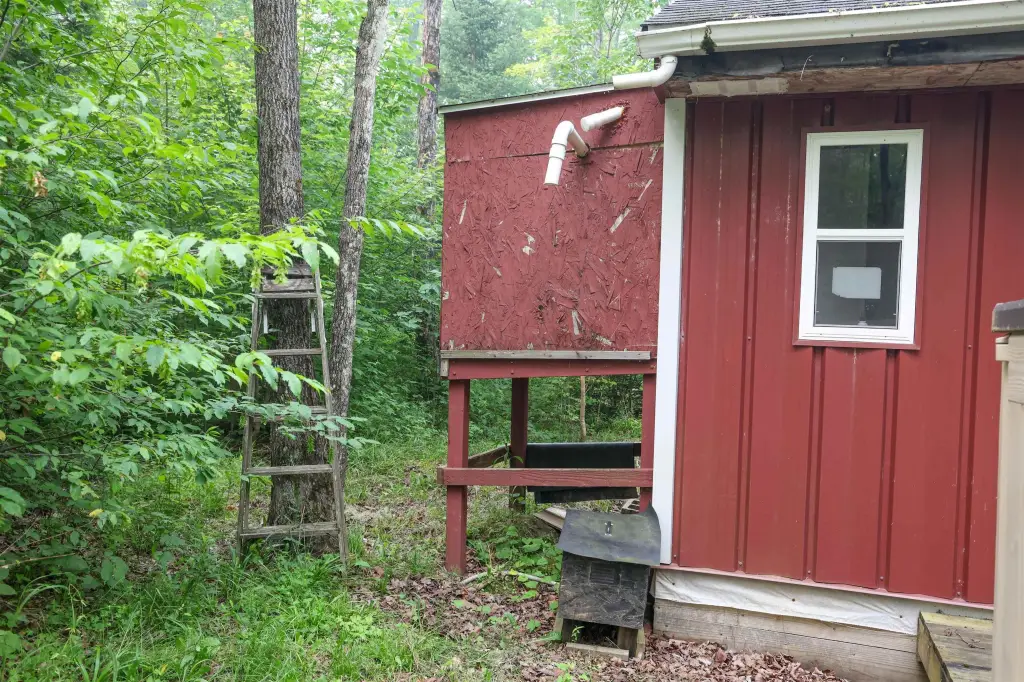Picture 6