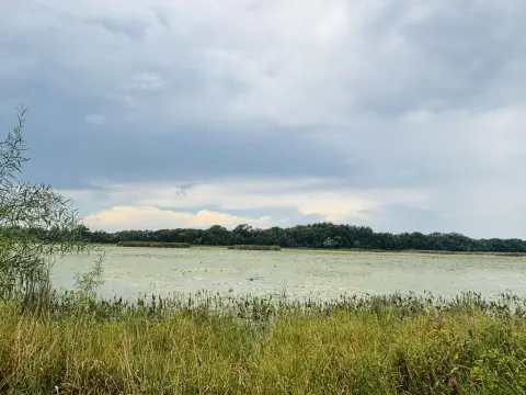 Agricultural Land