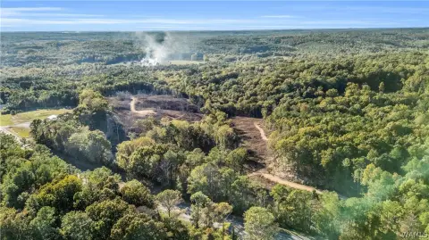 Hunting Land with Interior Trails
