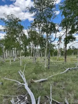 Residential Land with Mountain Views