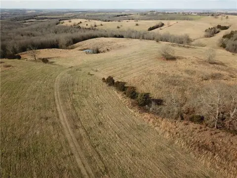 Everton, AR Pasture Homesite
