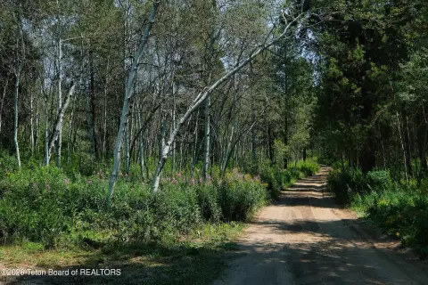 Recreation Land Adjacent to National Forest