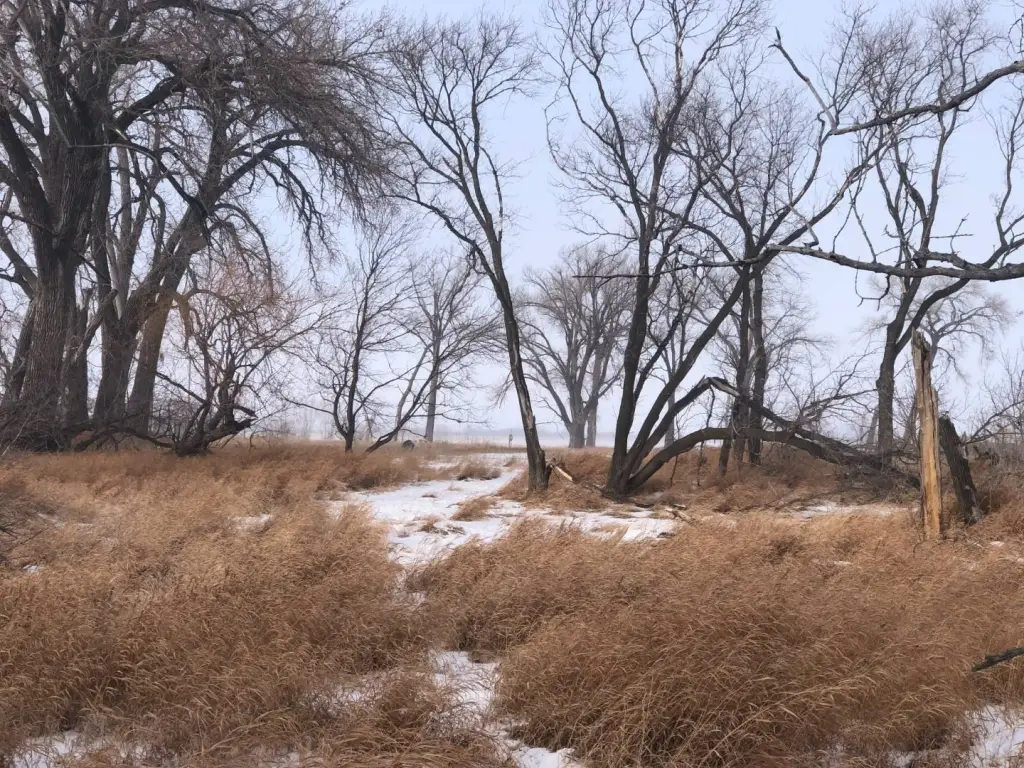 Picture 5