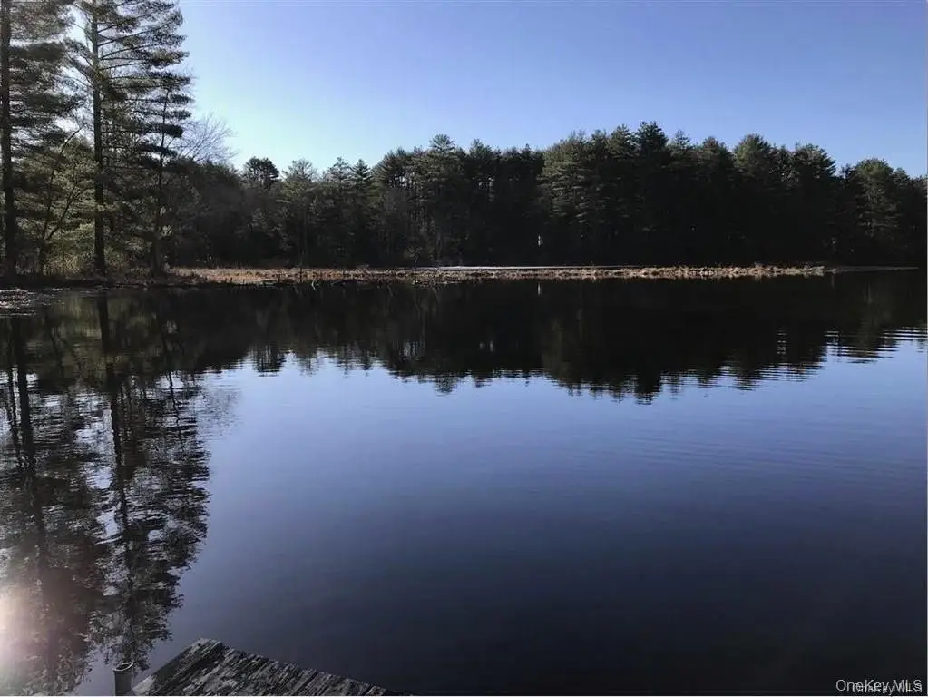 Picture 12
