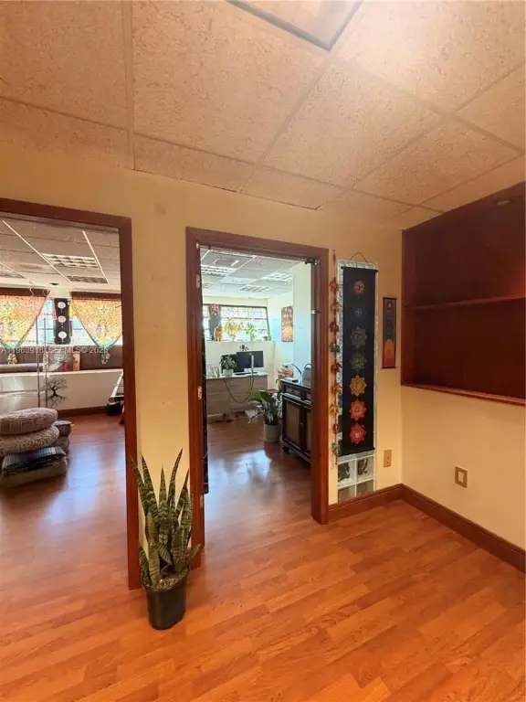 Picture 11