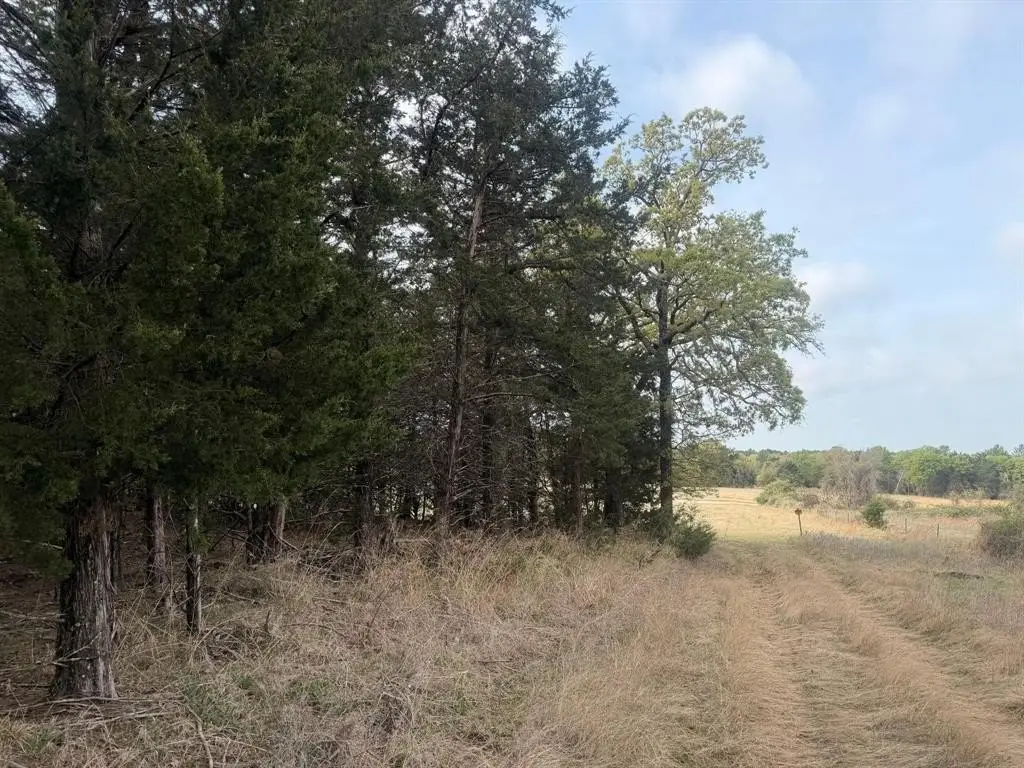 Picture 28