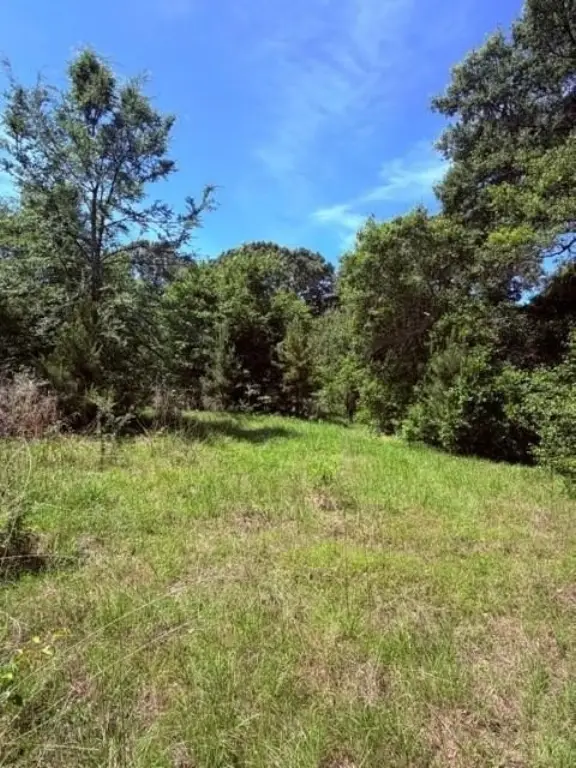 Picture 7