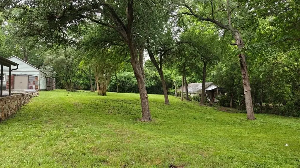 Picture 14
