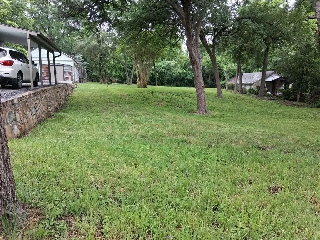 Picture 12