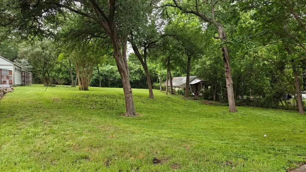 Picture 15